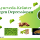 Ayurveda-Kräuter gegen Depressionen: Natürliche Heilmittel für psychische Gesundheit