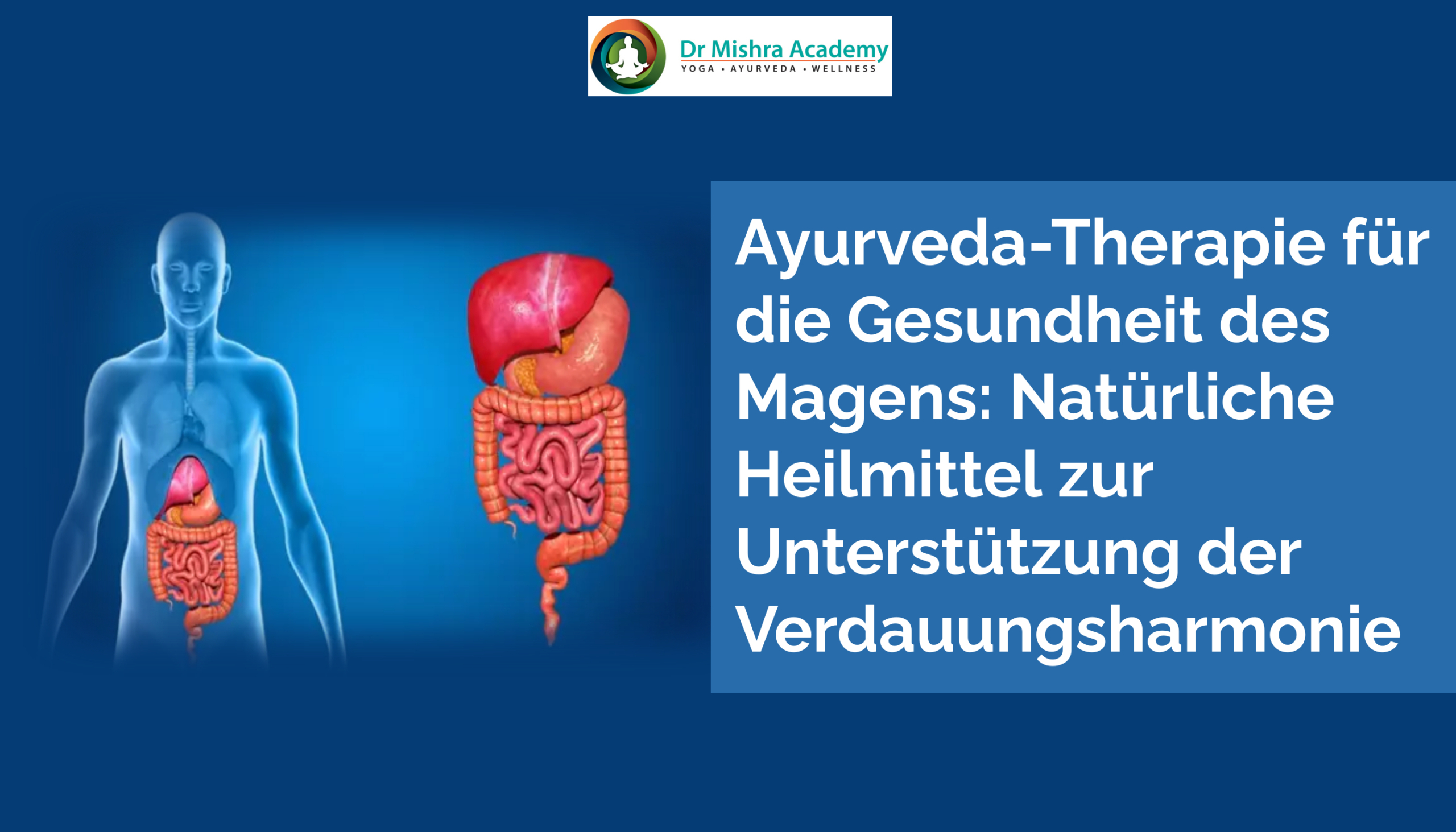 Ayurveda-Therapie für die Gesundheit des Magens: Natürliche Heilmittel zur Unterstützung der Verdauungsharmonie